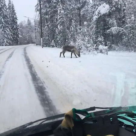 Hébergement de vacances Arctic Private House *