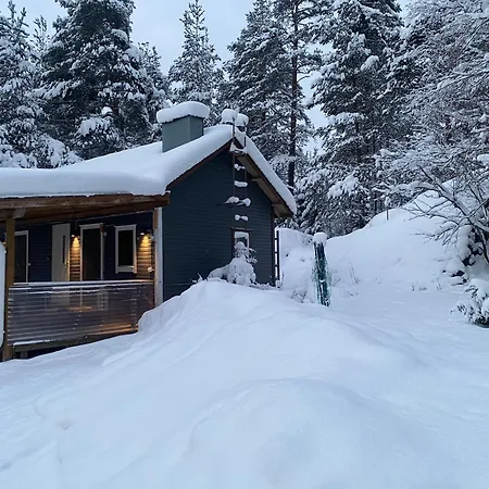 Arctic Private House